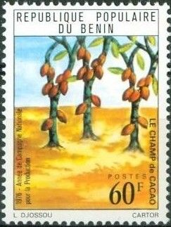 Cacao