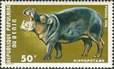 Hippopotamus (Hippopotamus amphibius)