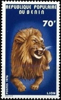 Lion (Panthera leo)