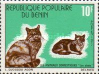 Domestic Cat (Felis silvestris catus)