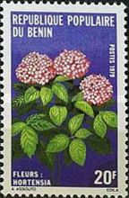 Hortensia