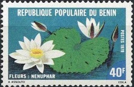 Water Lily (Nenuphar)