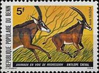 Roan Antelope (Hippotragus equinus)