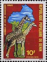 Giraffe (Giraffa camelopardalis)