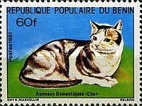 Domestic Cat (Felis silvestris catus)