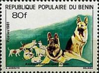 German Shepherd (Canis lupus familiaris)