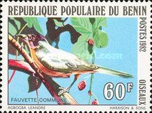 Warbler (unidentifiable)