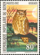 Eagle-Owl (species not identifiable)