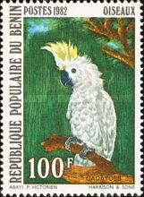 Sulphur-crested Cockatoo (Cacatua galerita)