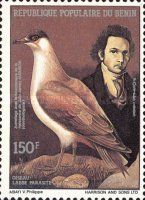 Parasitic Jaeger (Stercorarius parasiticus)