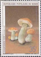 Boletus edible