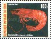 Shrimp 
