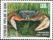 Crab