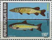Northern Pike (Esox lucius), Atlantic Salmon (Salmo salar)