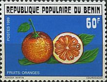Citrus sinensis