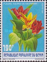 Tulipa kaufmanniana