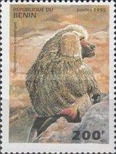 Hamadryas Baboon (Comopithecus hamadryas)