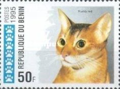 Ruddy Red (Felis silvestris catus)