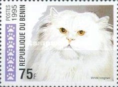 White Longhair (Felis silvestris catus)