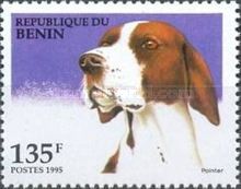 Pointer (Canis lupus familiaris)