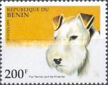Fox Terrier (Canis lupus familiaris)