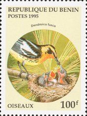 Blackburnian Warbler (Dendroica fusca)