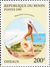Great White Pelican (Pelecanus onocrotalus)
