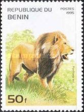 Lion (Panthera leo)