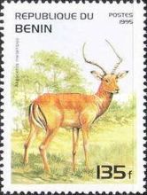 Impala (Aepyceros melampus)