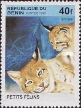 Eurasian Lynx (Lynx lynx)