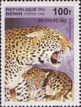 Leopard (Panthera pardus)