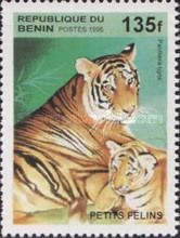 Tiger (Panthera tigris)