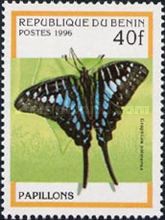 Common Swordtail (Graphium policenes)