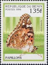 Painted Lady (Cynthia cardui)