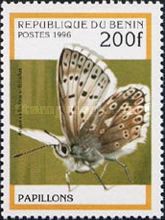 Blue Argus (Aricia anteros)