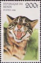Amur Wildcat (Prionailurus bengalensis euptilura)