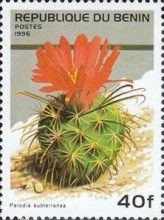 Parodia Subterranea