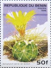 Astrophytum Senile