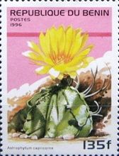 Astrophytum Capricorne