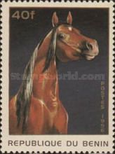 Horse (Equus ferus caballus)