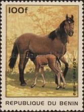 Horse (Equus ferus caballus)