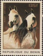 Horse (Equus ferus caballus)