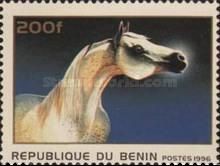 Horse (Equus ferus caballus)