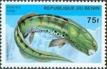 Dunkleosteus