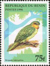 Kakapo (Strigops habroptilus)