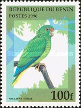 Puerto Rican Parrot (Amazona vittata)