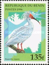 Crested Ibis (Nipponia nippon)