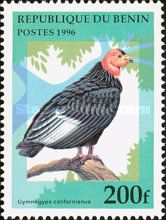 California Condor (Gymnogyps californianus)