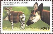 Okapi (Okapia johnstoni)