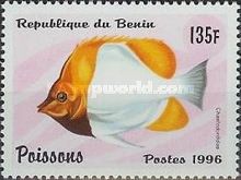 Pyramid Butterflyfish (Hemitaurichthys polylepis)